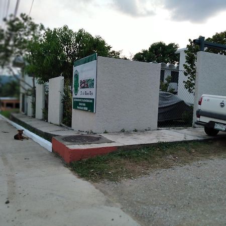 Apartament Departamentos De La Reina Roja Palenque Zewnętrze zdjęcie