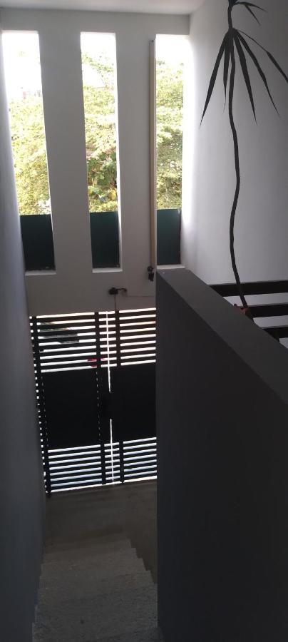 Apartament Departamentos De La Reina Roja Palenque Zewnętrze zdjęcie