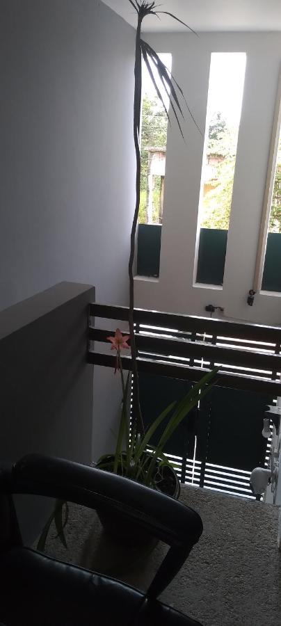 Apartament Departamentos De La Reina Roja Palenque Zewnętrze zdjęcie