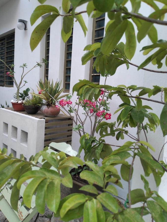 Apartament Departamentos De La Reina Roja Palenque Zewnętrze zdjęcie