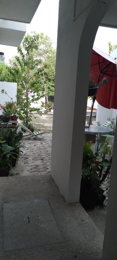 Apartament Departamentos De La Reina Roja Palenque Zewnętrze zdjęcie
