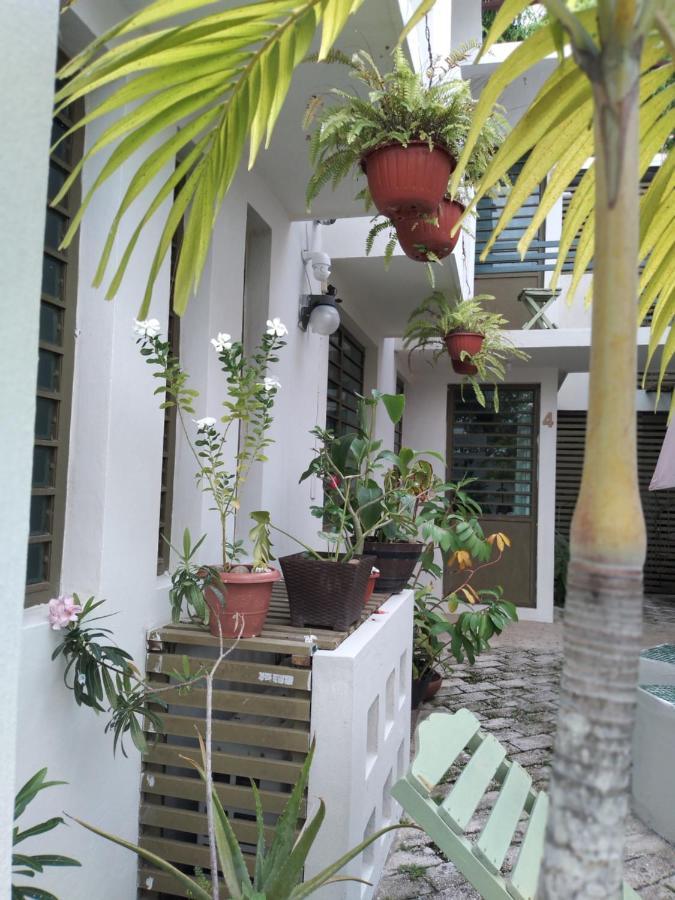Apartament Departamentos De La Reina Roja Palenque Zewnętrze zdjęcie