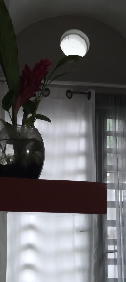 Apartament Departamentos De La Reina Roja Palenque Zewnętrze zdjęcie