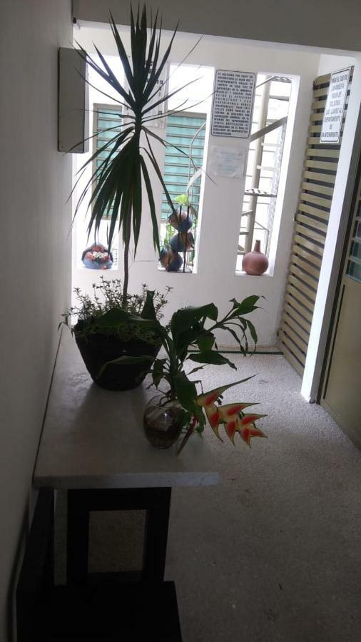 Apartament Departamentos De La Reina Roja Palenque Zewnętrze zdjęcie